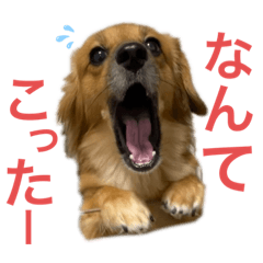 tommy_20220721152304
