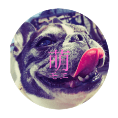 Hidea_20220721074327