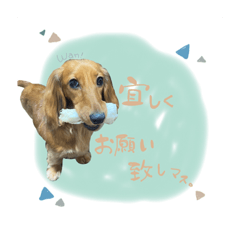 Ayano_20220721182313