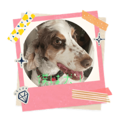 Melba