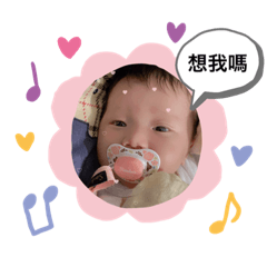小鯊魚的日常貼圖