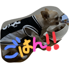 SHIHO_20220721174212