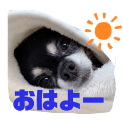 hikaru_20220721152245
