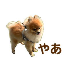 Nozomi_20220721200711