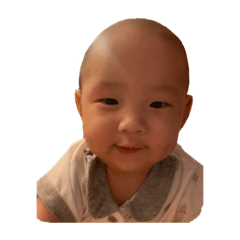 燕巢小老虎