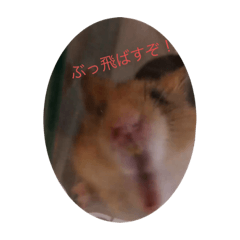 eitaa_20220721212423