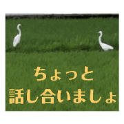 GENTLE_20220721200519
