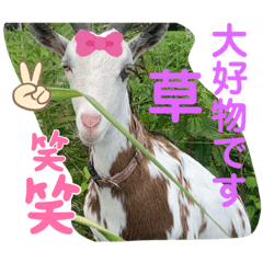 sayuri_20220721225832