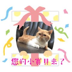 半半仔