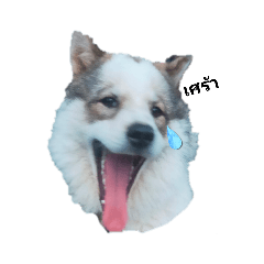 baifern11_20220721181454