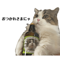 fco_chan_20220721231702