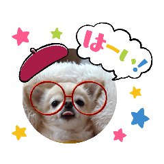 jin_20220722083641
