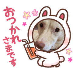 nanairo_20220722094552