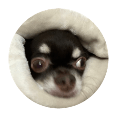 c_20220722111519