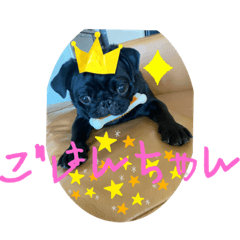 shiho_20220722140928