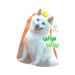 AK_20220722105152
