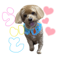 aoi_20220722134838