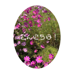 Sachiko_20220722150907