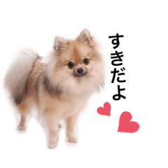 yun_20220722105233