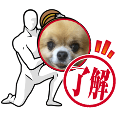 tomomi_20220722171343