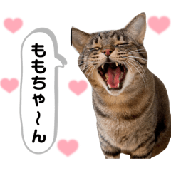 miko_20220722084240
