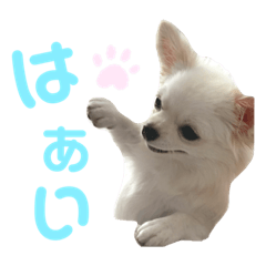yun_20220722190750