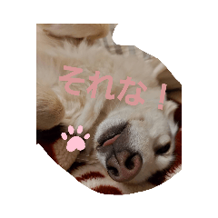 cherry_20220722193708