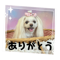 めいちゃんの字が見やすいスタンプ