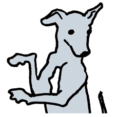 Italian Greyhound-sae