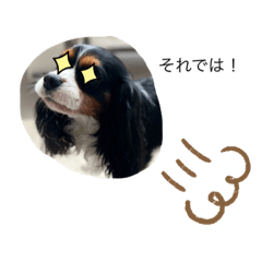 ワンちゃんじゃ。