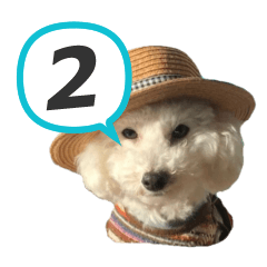Bink sticker 2