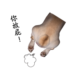 我們家小寶貝兒