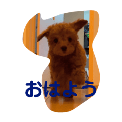 Hana_20220722222243