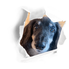 MoriHa_20220722222726