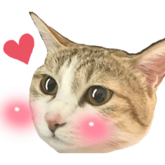 arisa_20220722222050