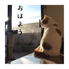 aska_20220722231618