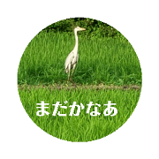 GENTLE_20220722153940
