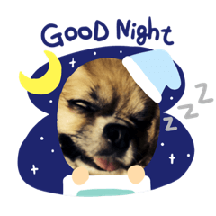 tomomi_20220723070835