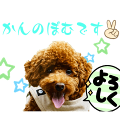 PPPOOOMMM3