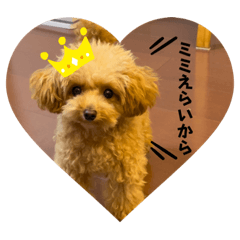 Rain_20220723121606