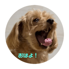 Tsukino LUNA_20220722200113