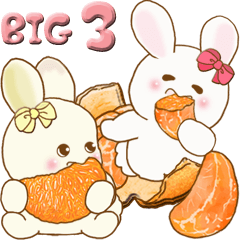 [Big] Chubby rabbit 3 (fruits)