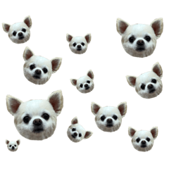 maron_Daily conversation