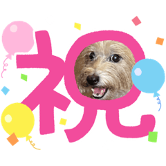 Junko_20220723124953