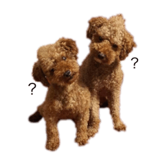 Kaito_20220723133901