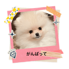 ARISA_20220723141818