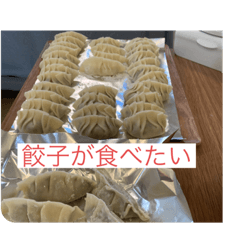 Gyoza1000