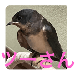 ucd_20220722232755 – LINE stickers | LINE STORE