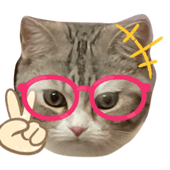 Poonny_20220723123249