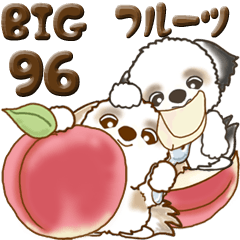【Big】シーズー犬 96『フルーツetc.』